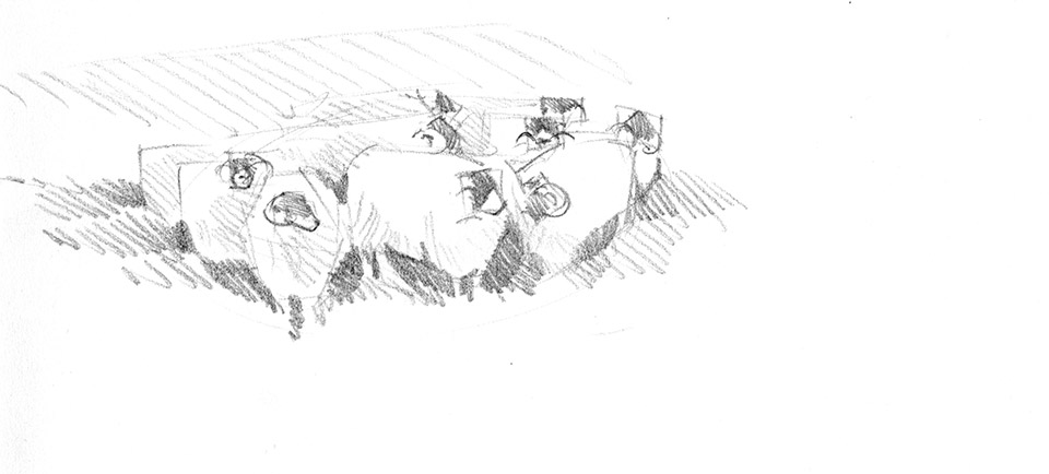 Sheep sketchbook page 2