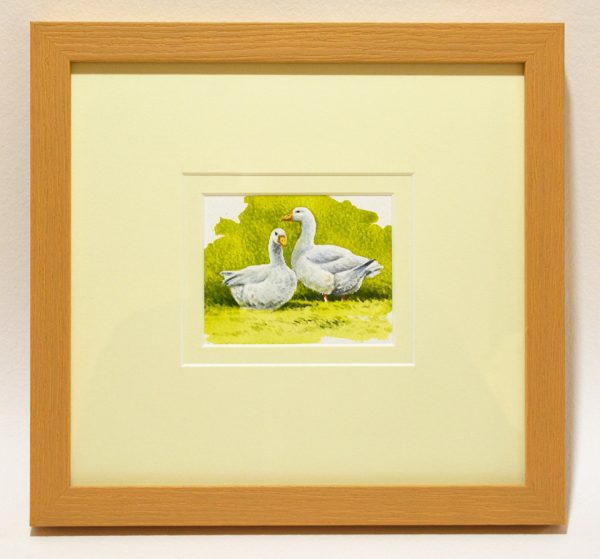 Geese, framed watercolour sketch