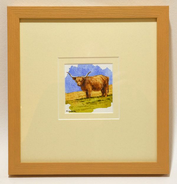 Highland cow. Framed watercolour sketch