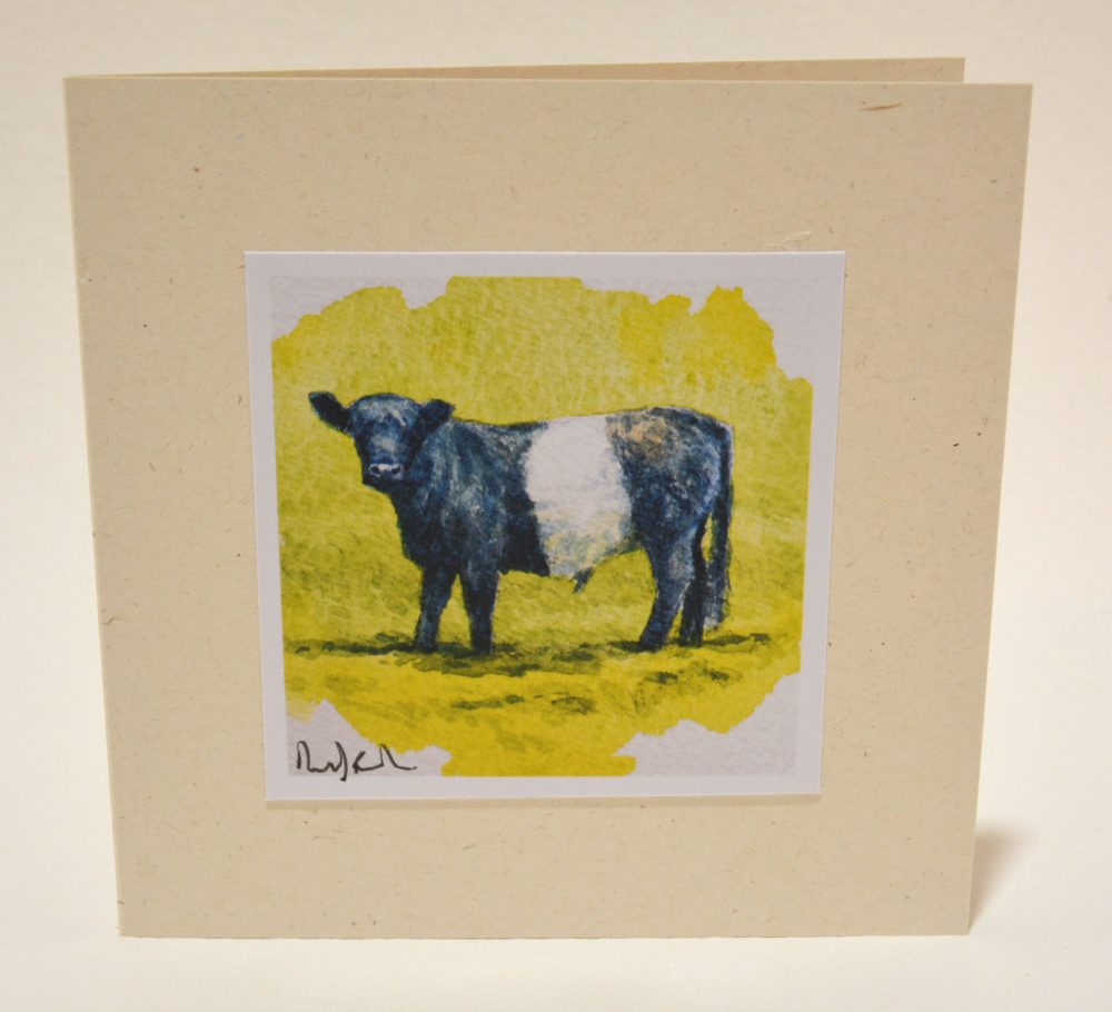 Young Beltie greeting card
