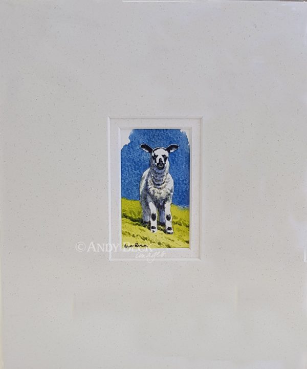 Lamb sketch mounted