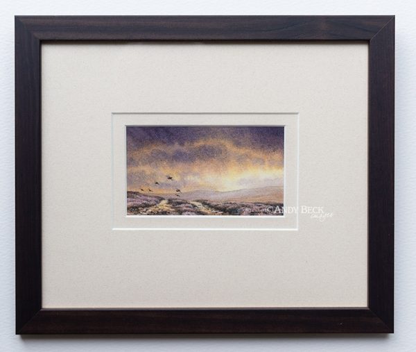 Evening Covey Red Grouse framed
